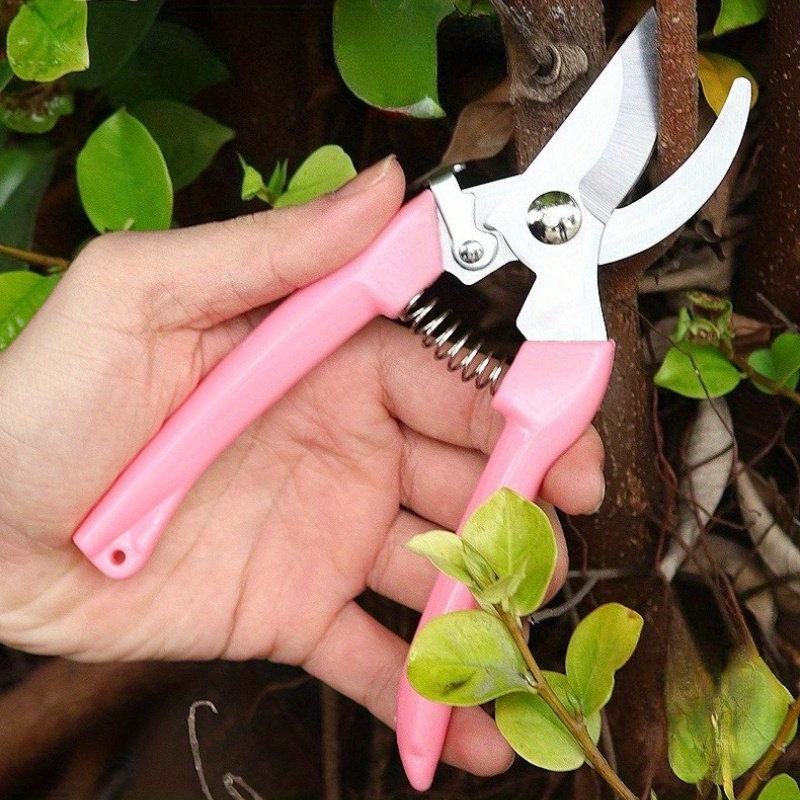 2'li Paket Çiçek Makası (Pembe - Pinking Shear Blade incelemesi ve fiyatı